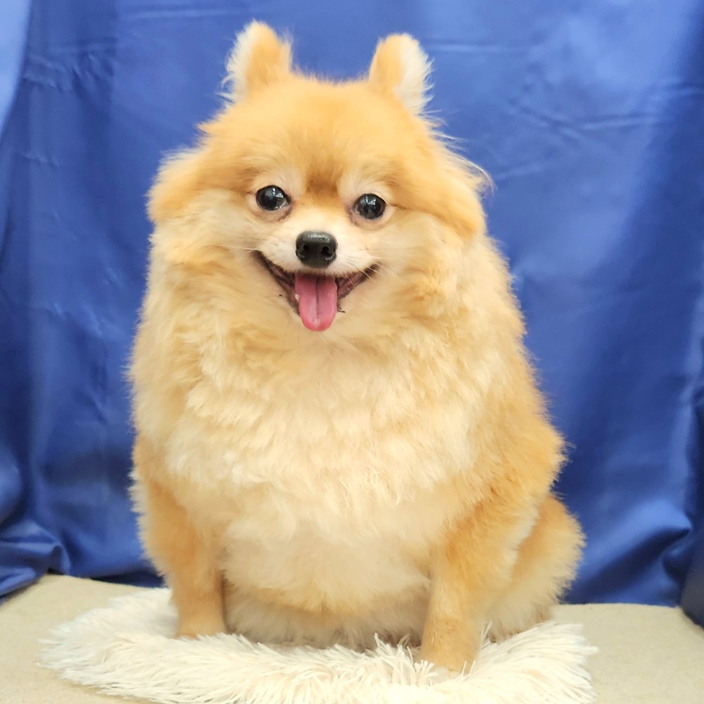 4番見られている子の画像