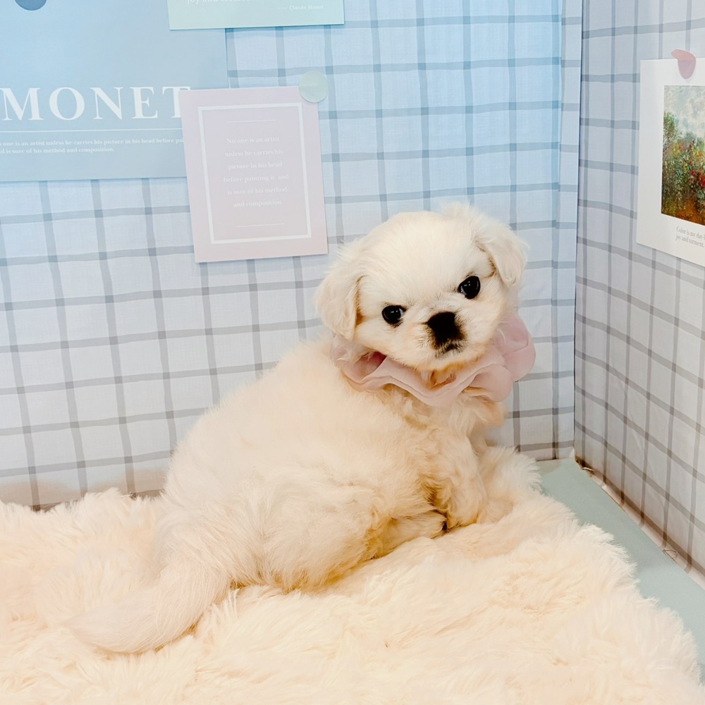 生体画像５