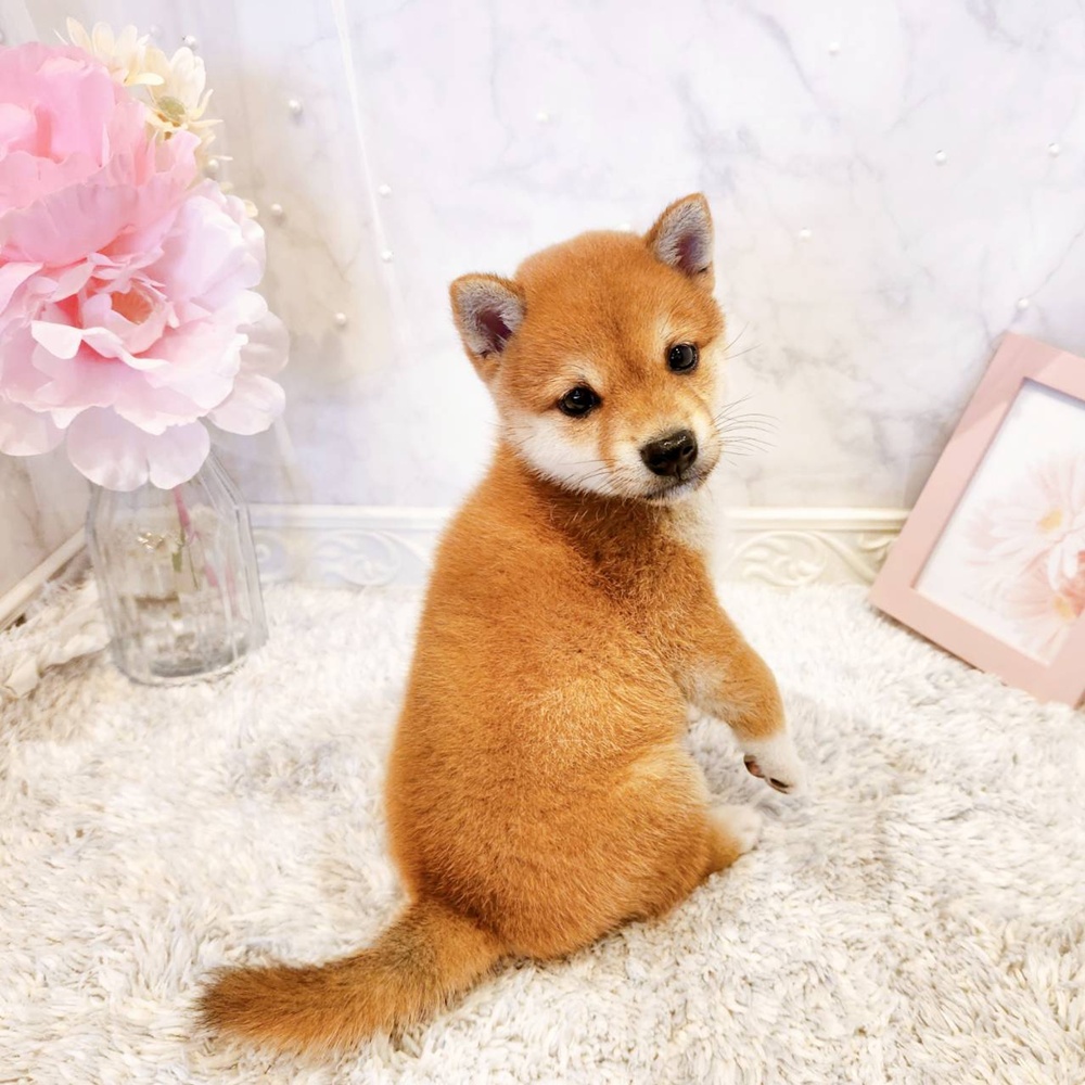 生体画像５