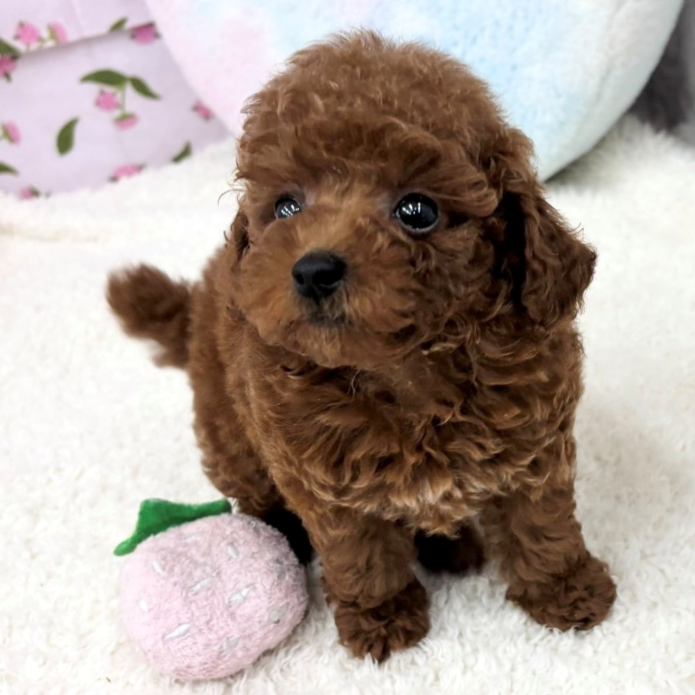 生体画像5