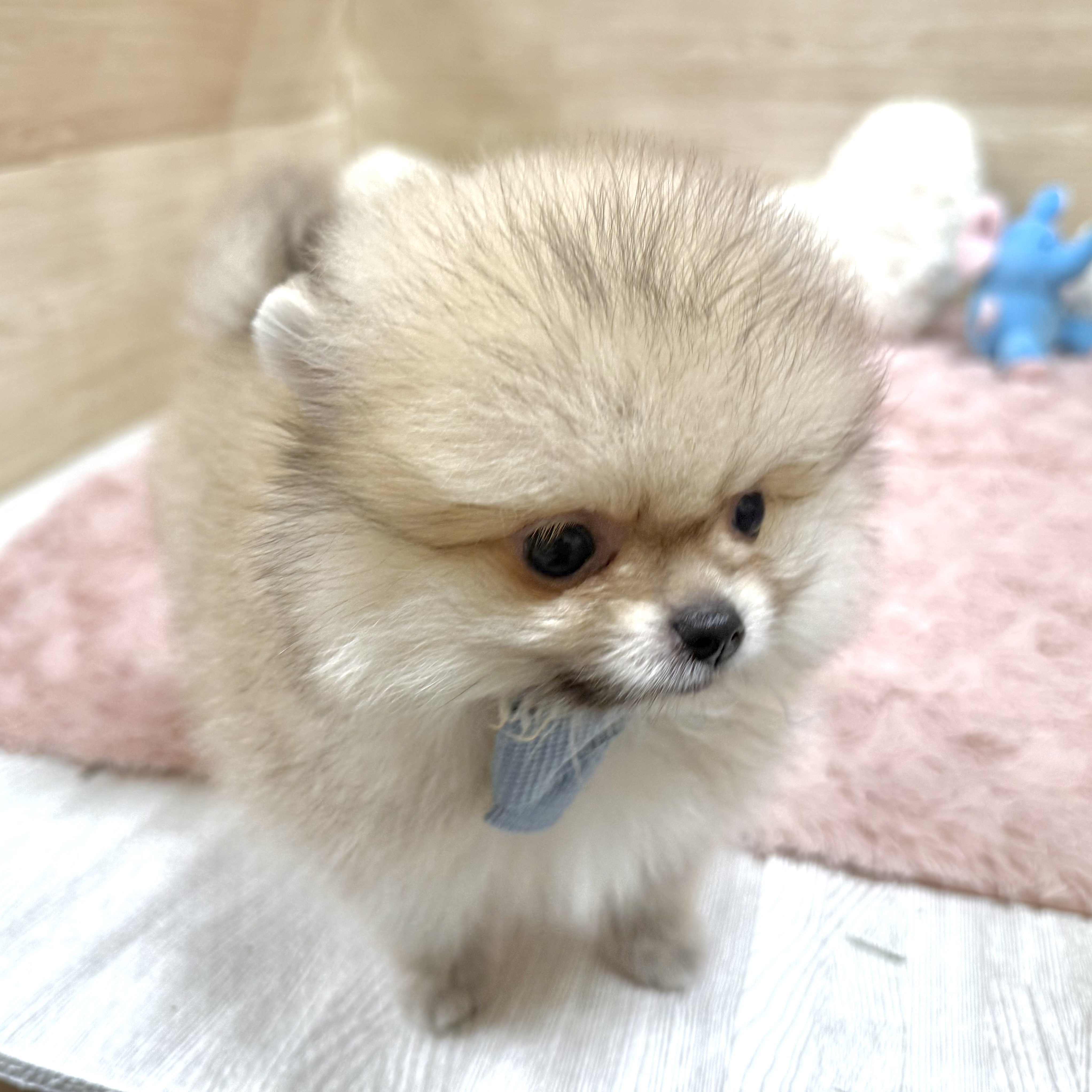 生体画像５