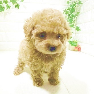生体画像５