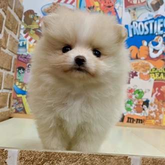 生体画像５