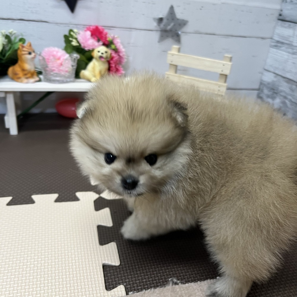 生体画像５