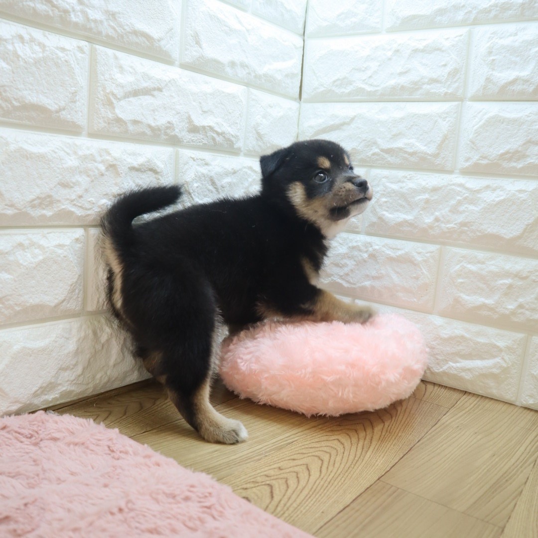 生体画像5