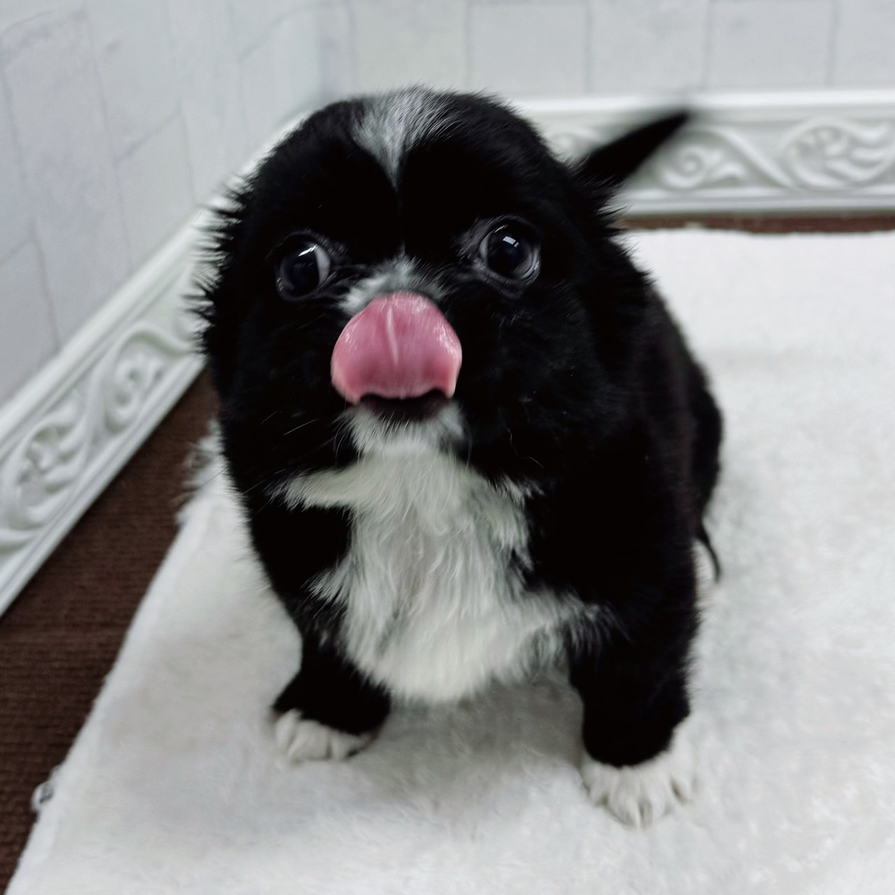 生体画像５