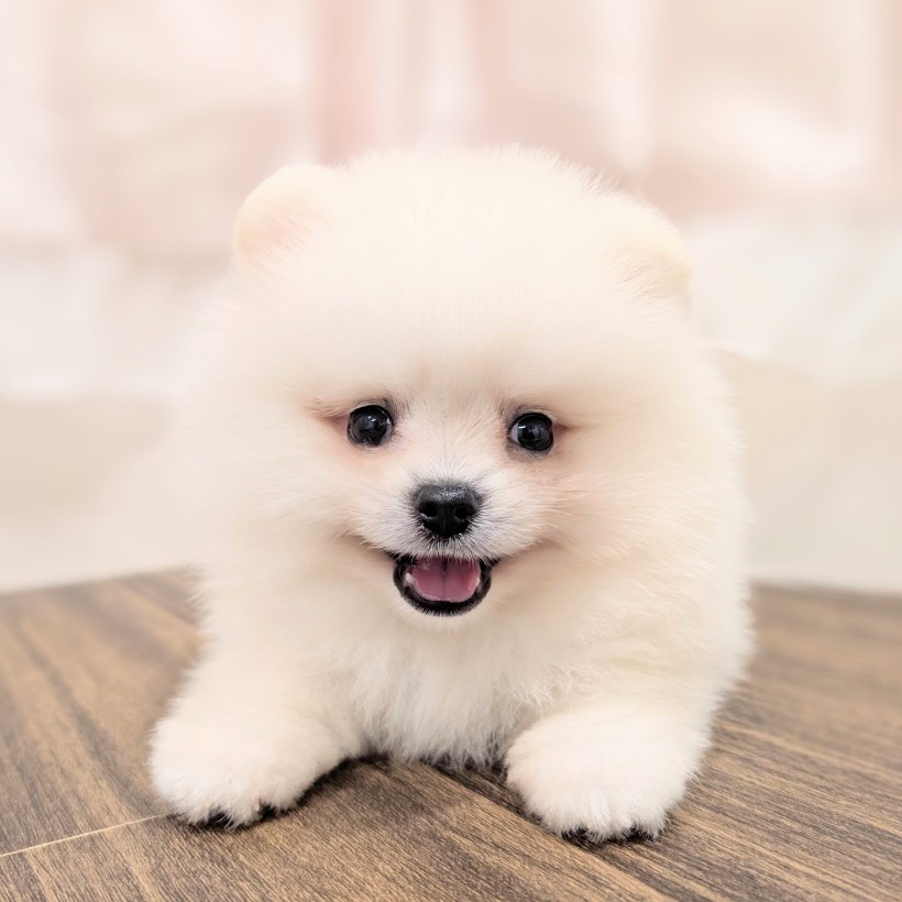 生体画像5