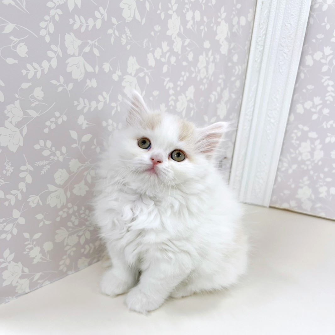 生体画像5
