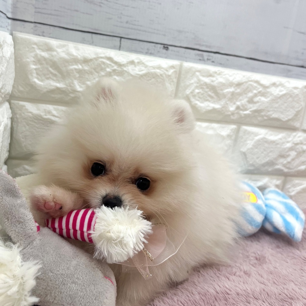 生体画像５