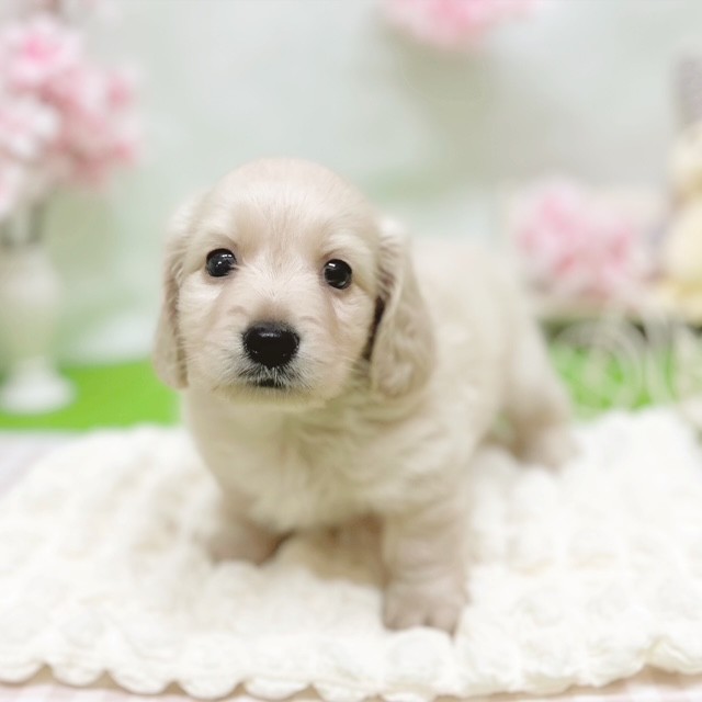 生体画像5