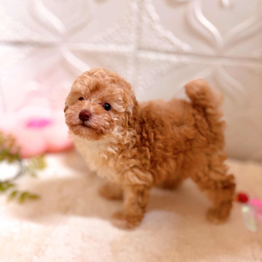 生体画像５