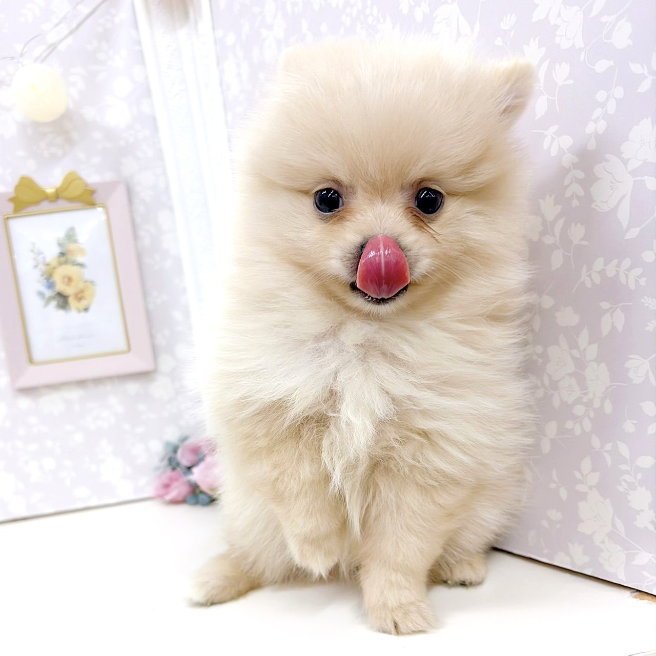 生体画像5