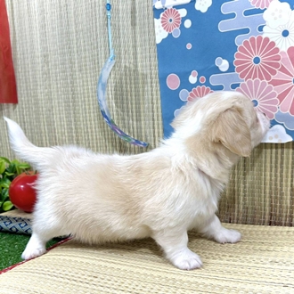 生体画像５