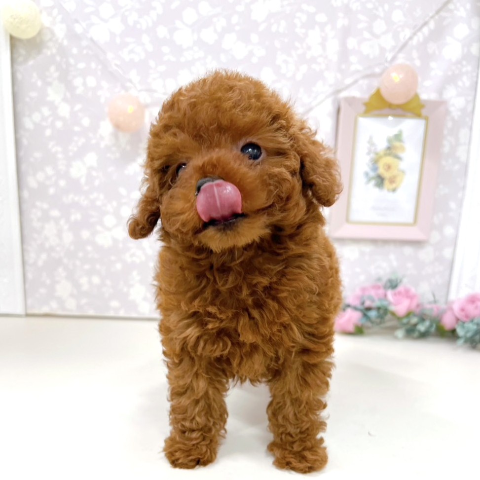 生体画像５
