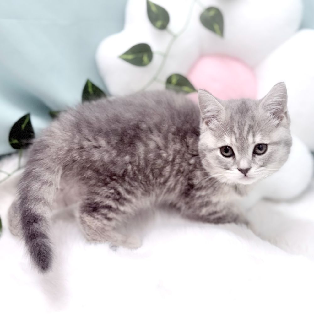 生体画像５