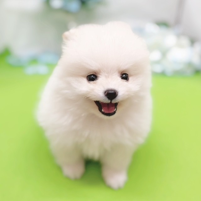 生体画像５