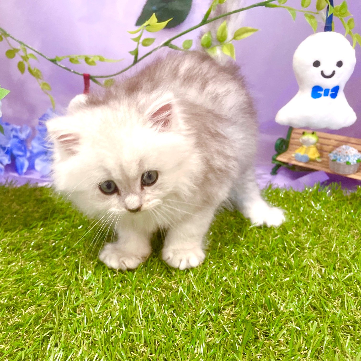 生体画像５