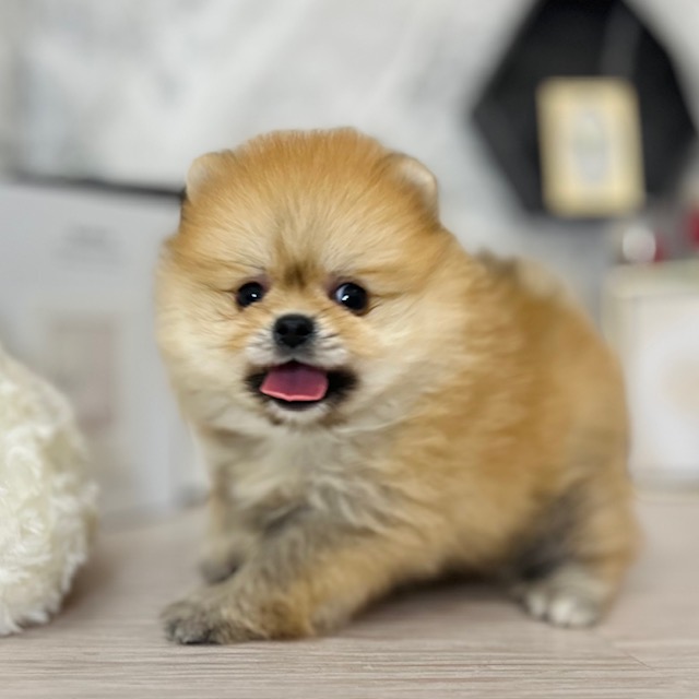 生体画像5