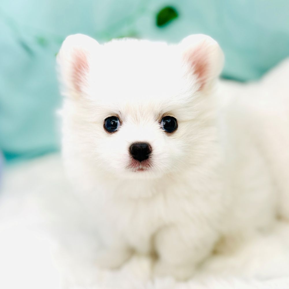 生体画像５