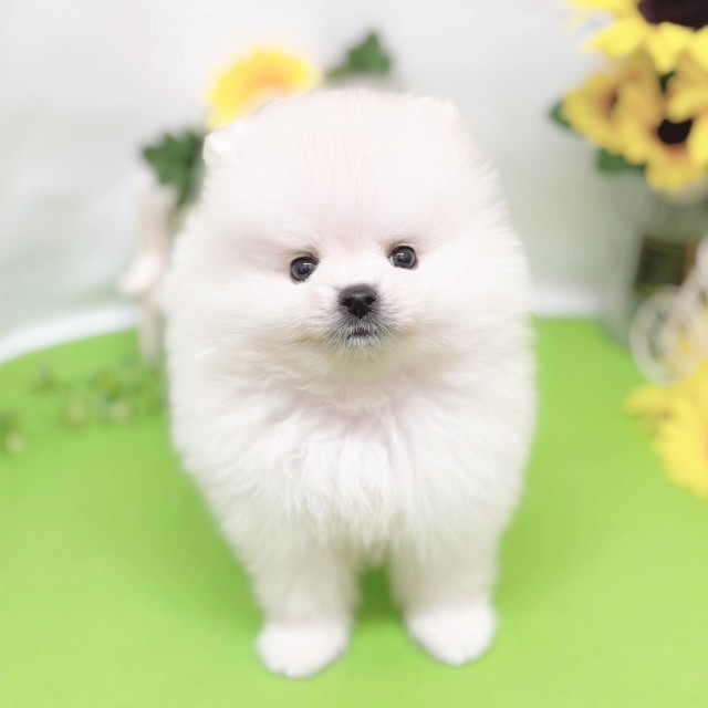 生体画像５