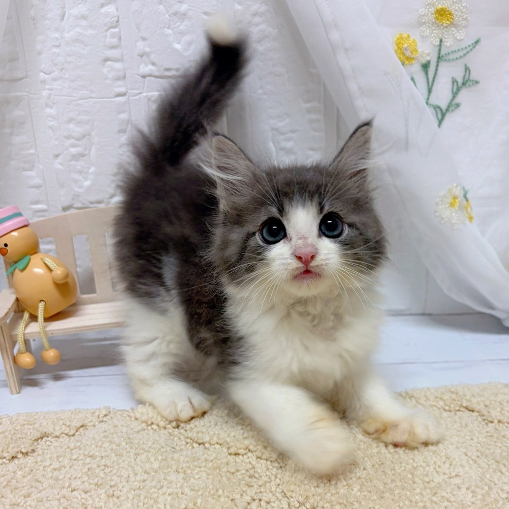 生体画像５