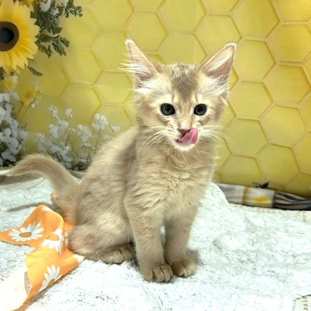 生体画像5
