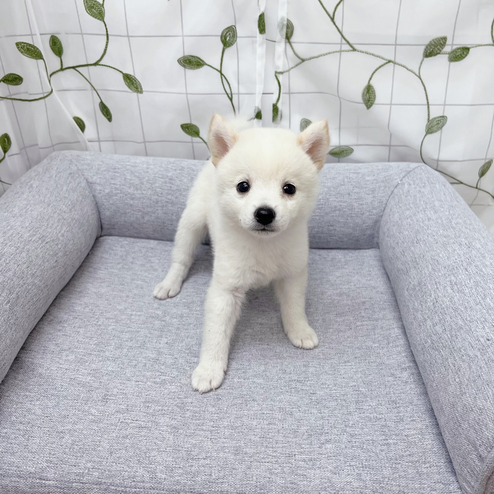 生体画像5