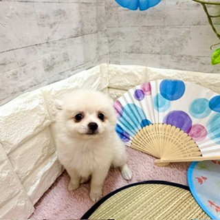 生体画像5
