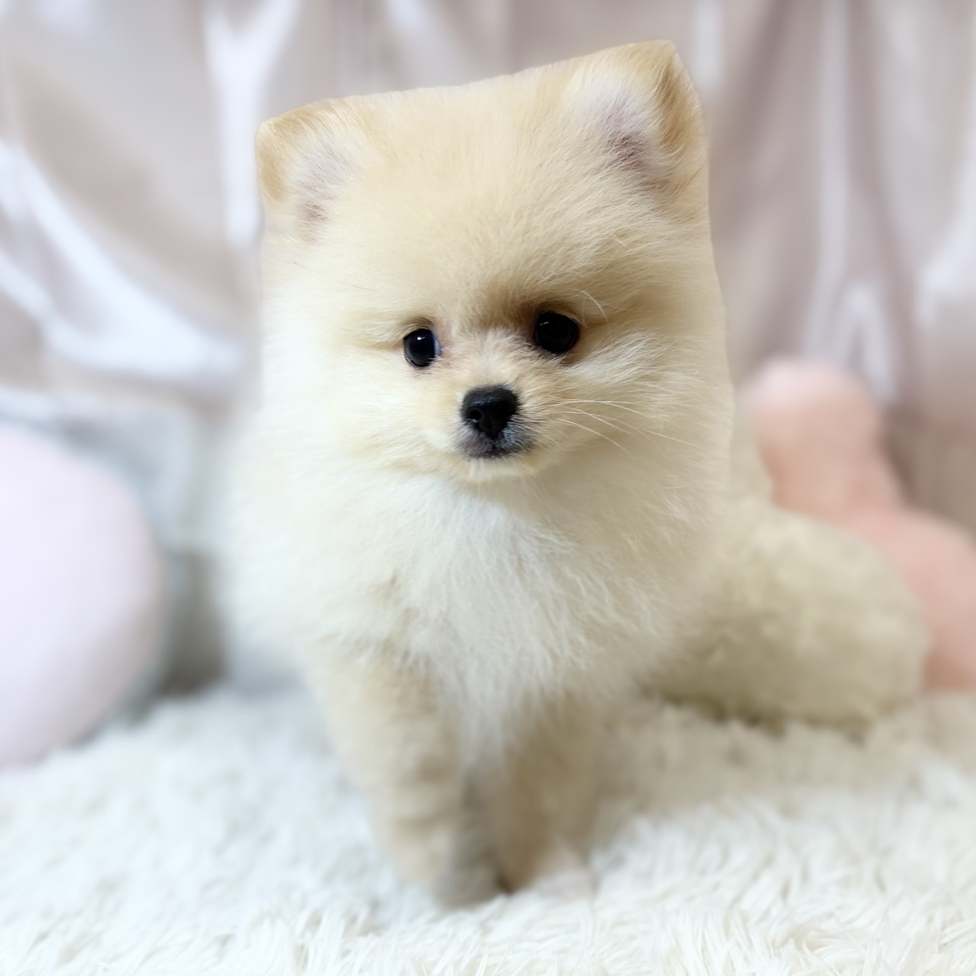 生体画像５