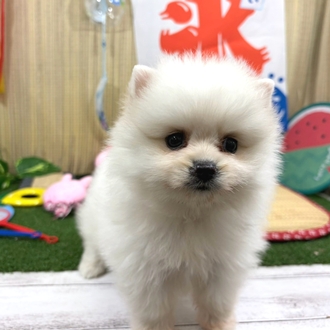 生体画像5