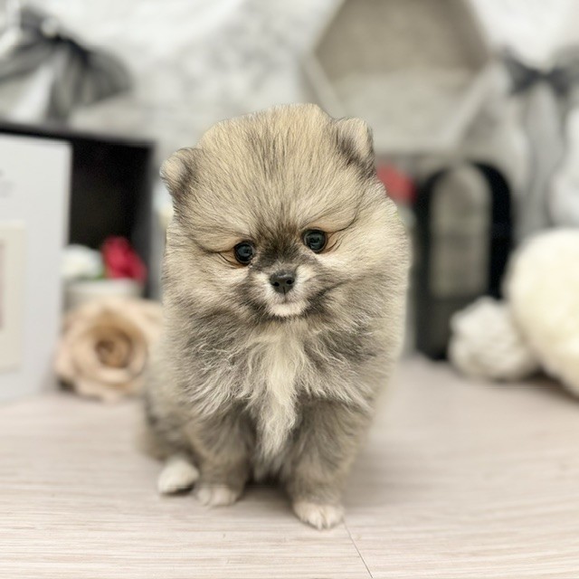 生体画像5