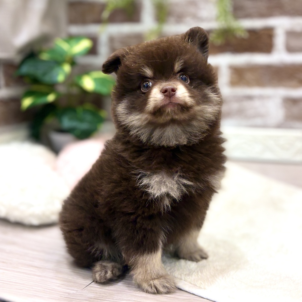 生体画像５