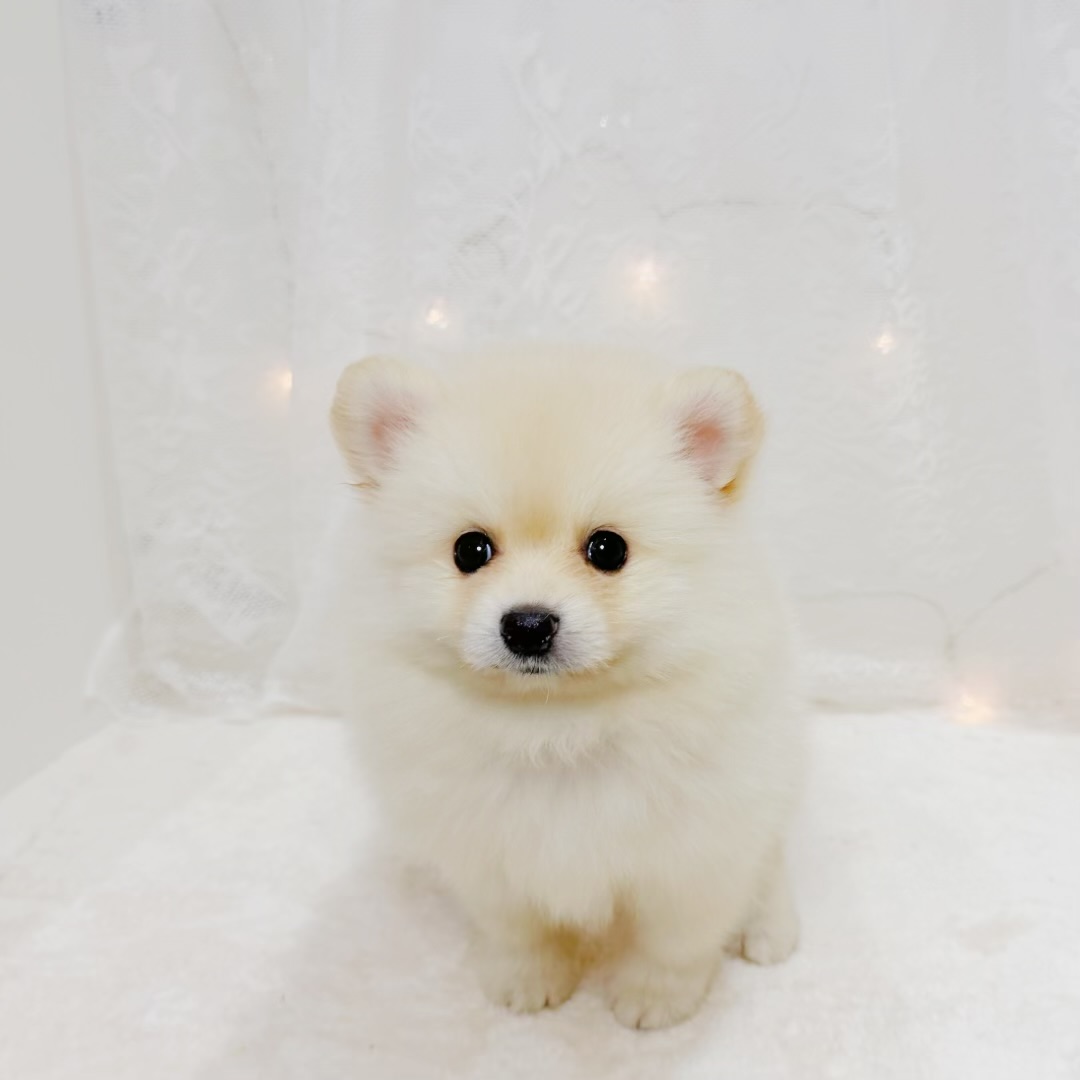 生体画像5