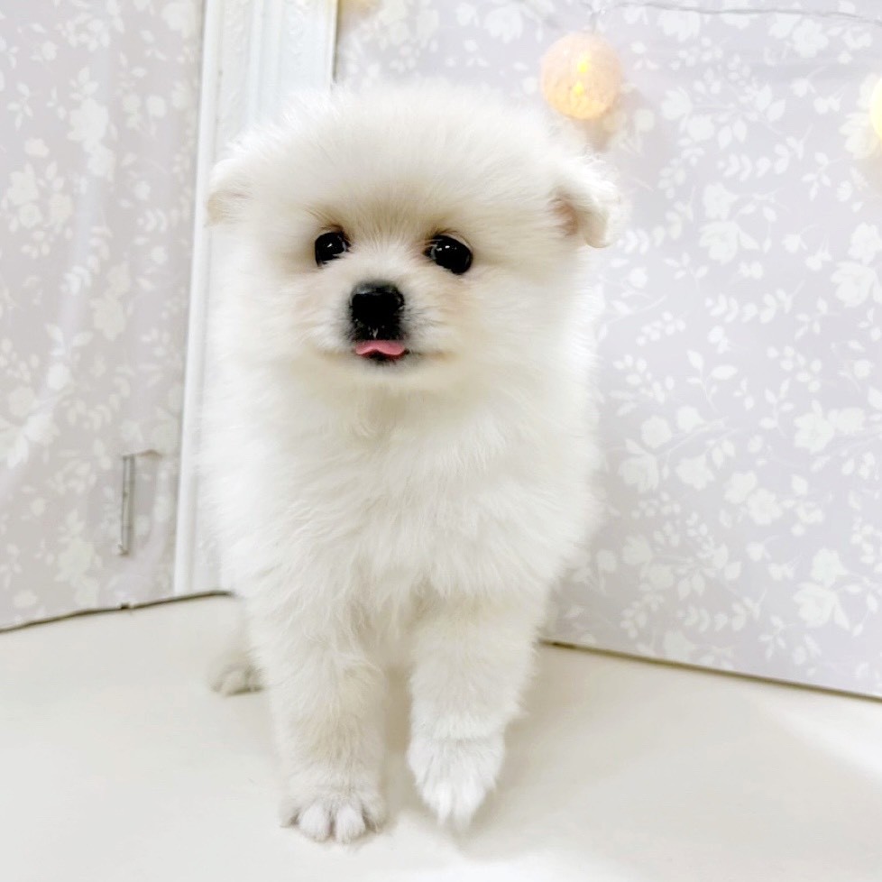 生体画像５