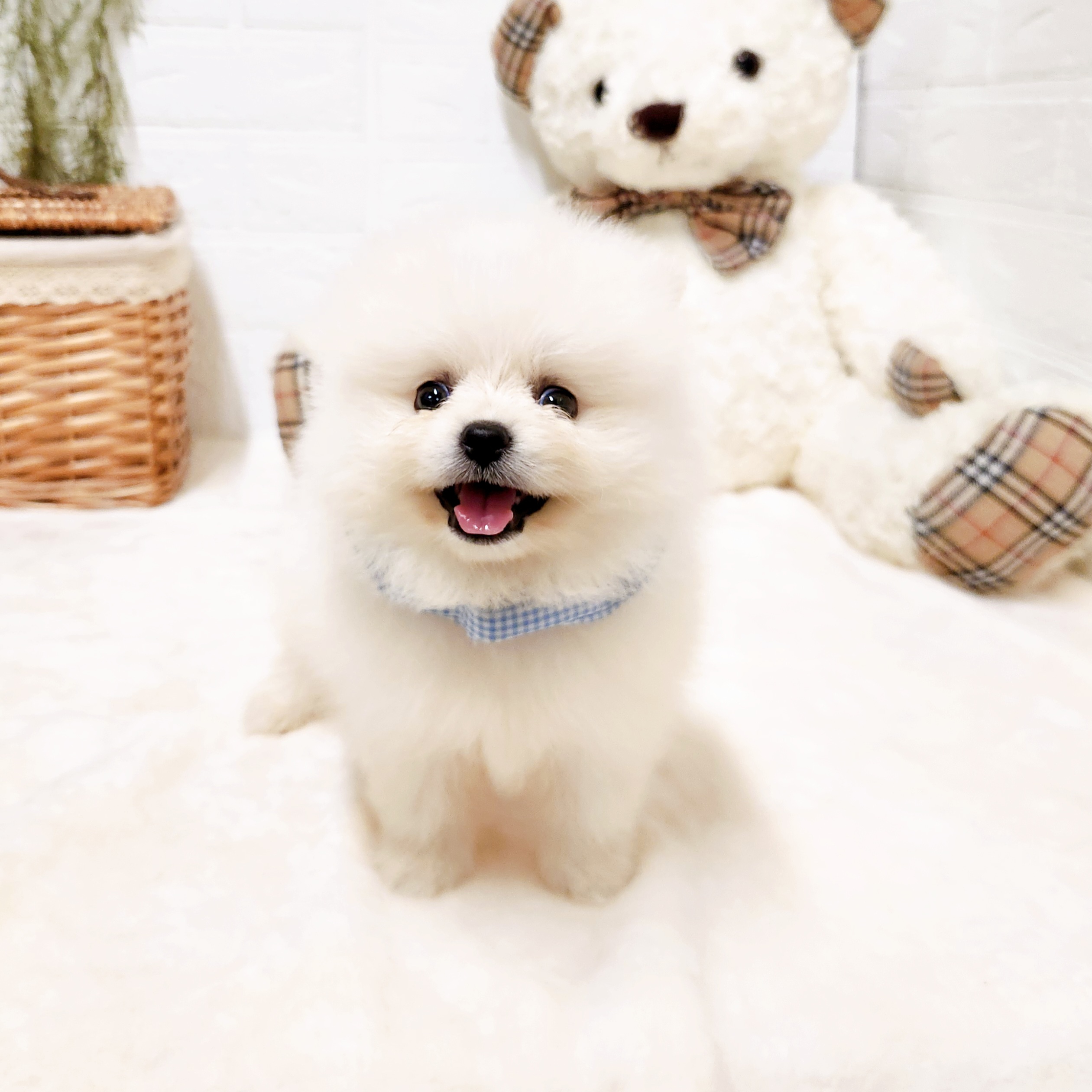 生体画像5