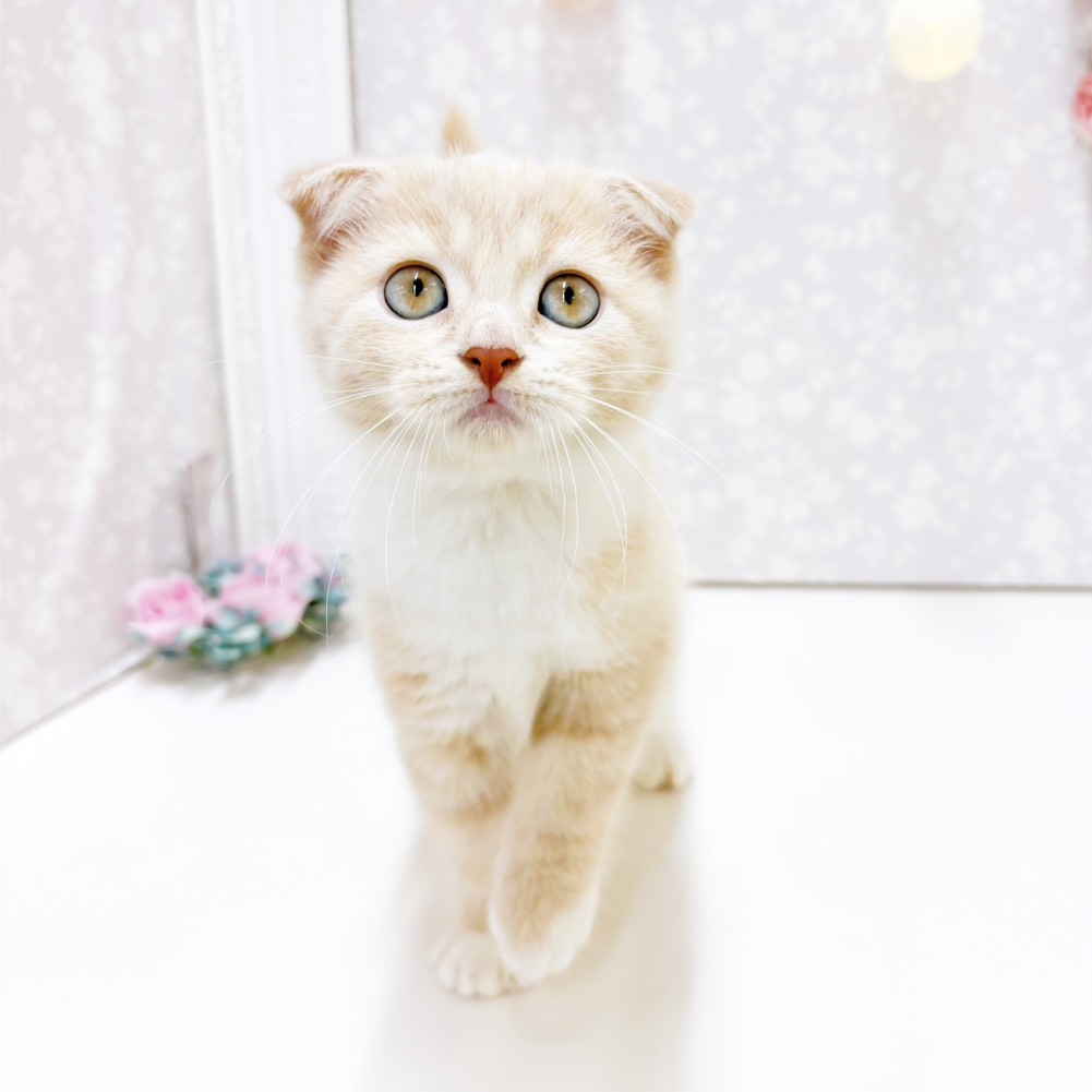 生体画像5