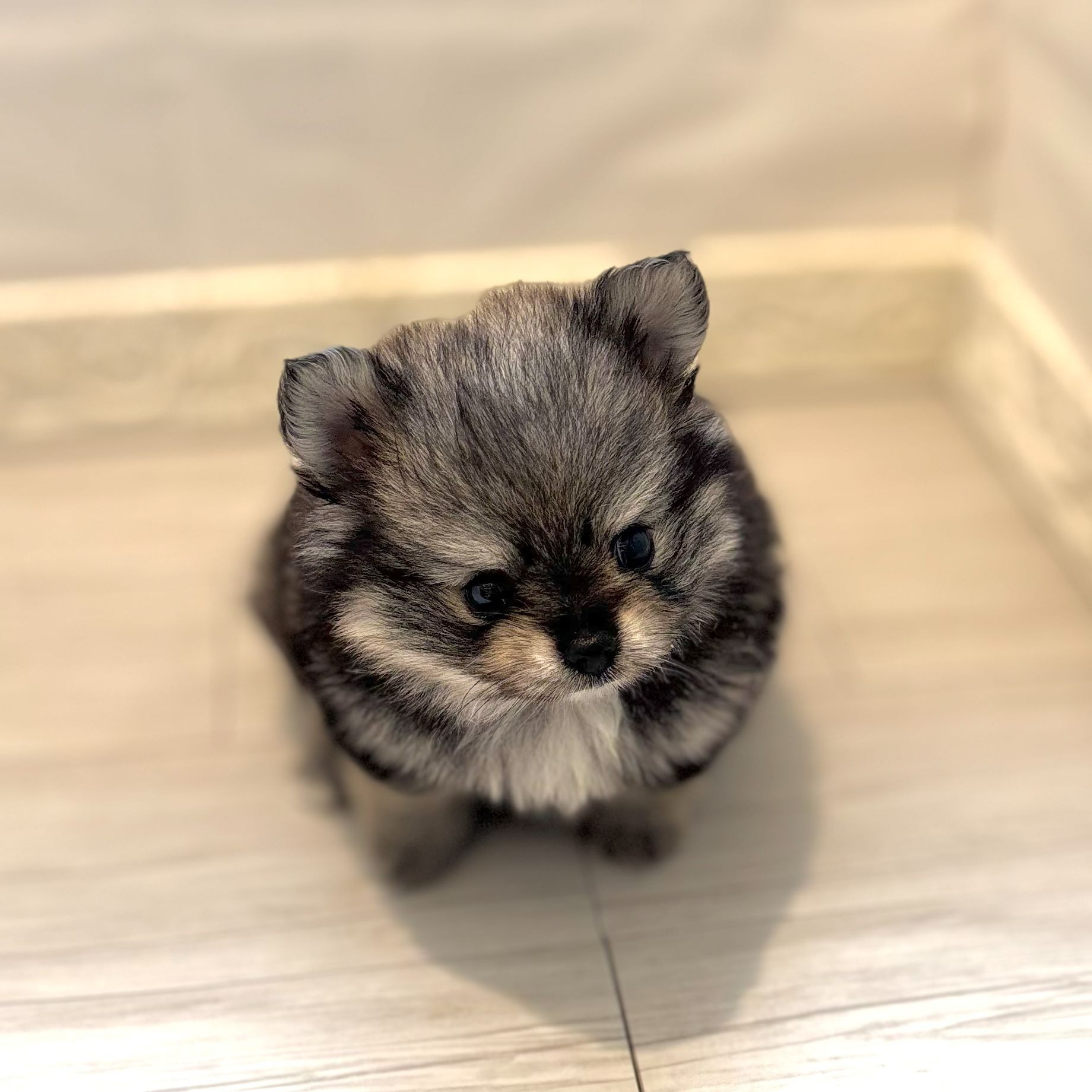 生体画像5