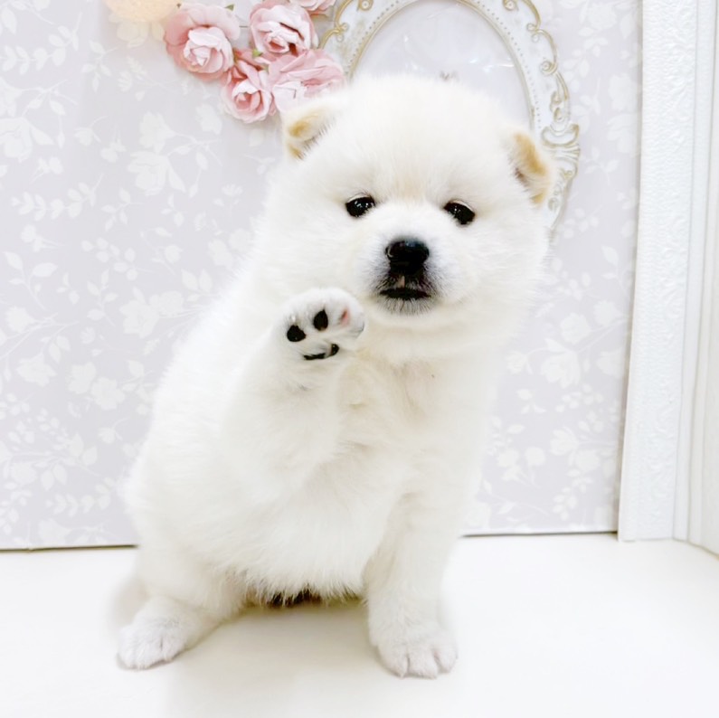 生体画像５