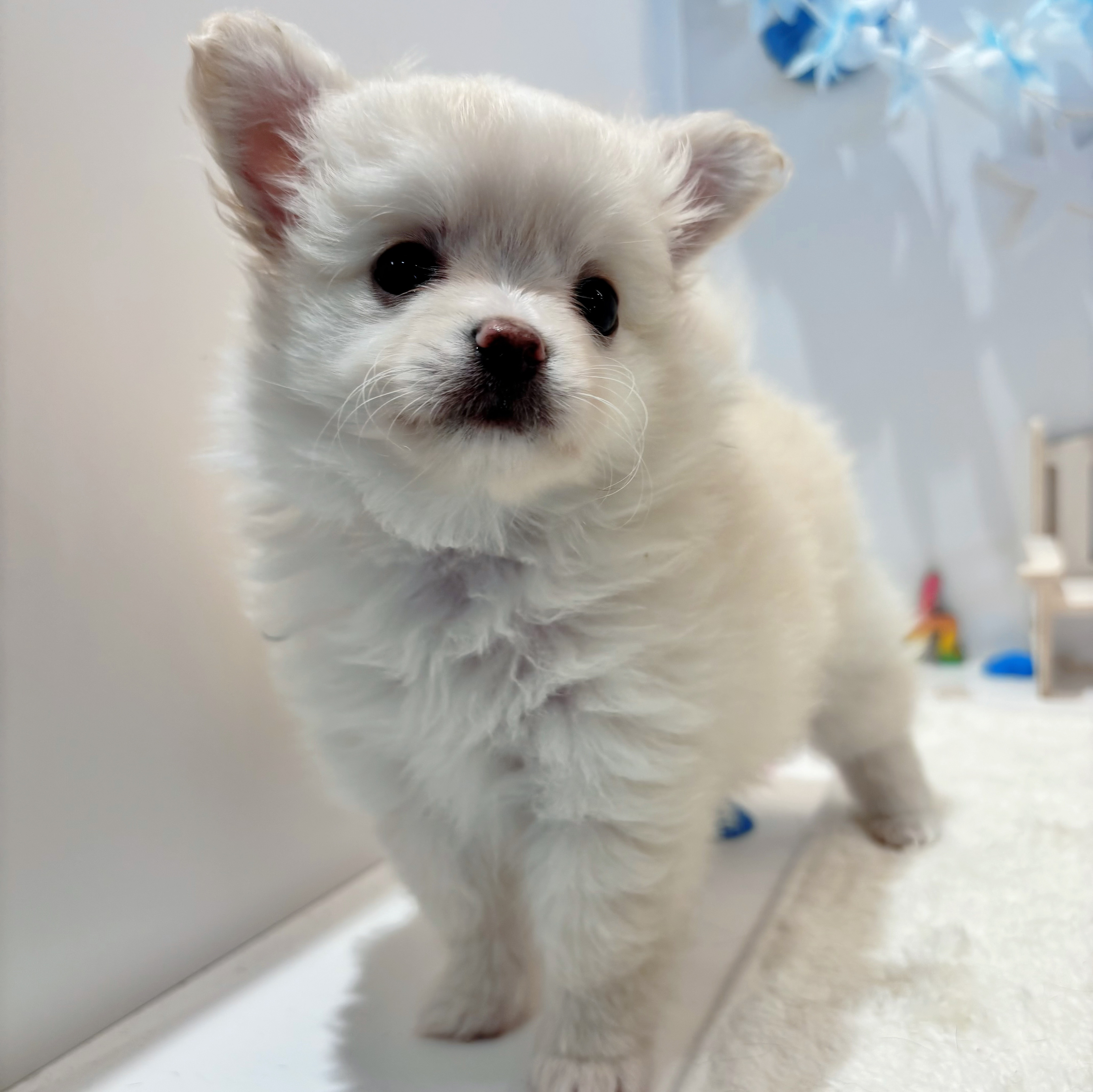 生体画像５