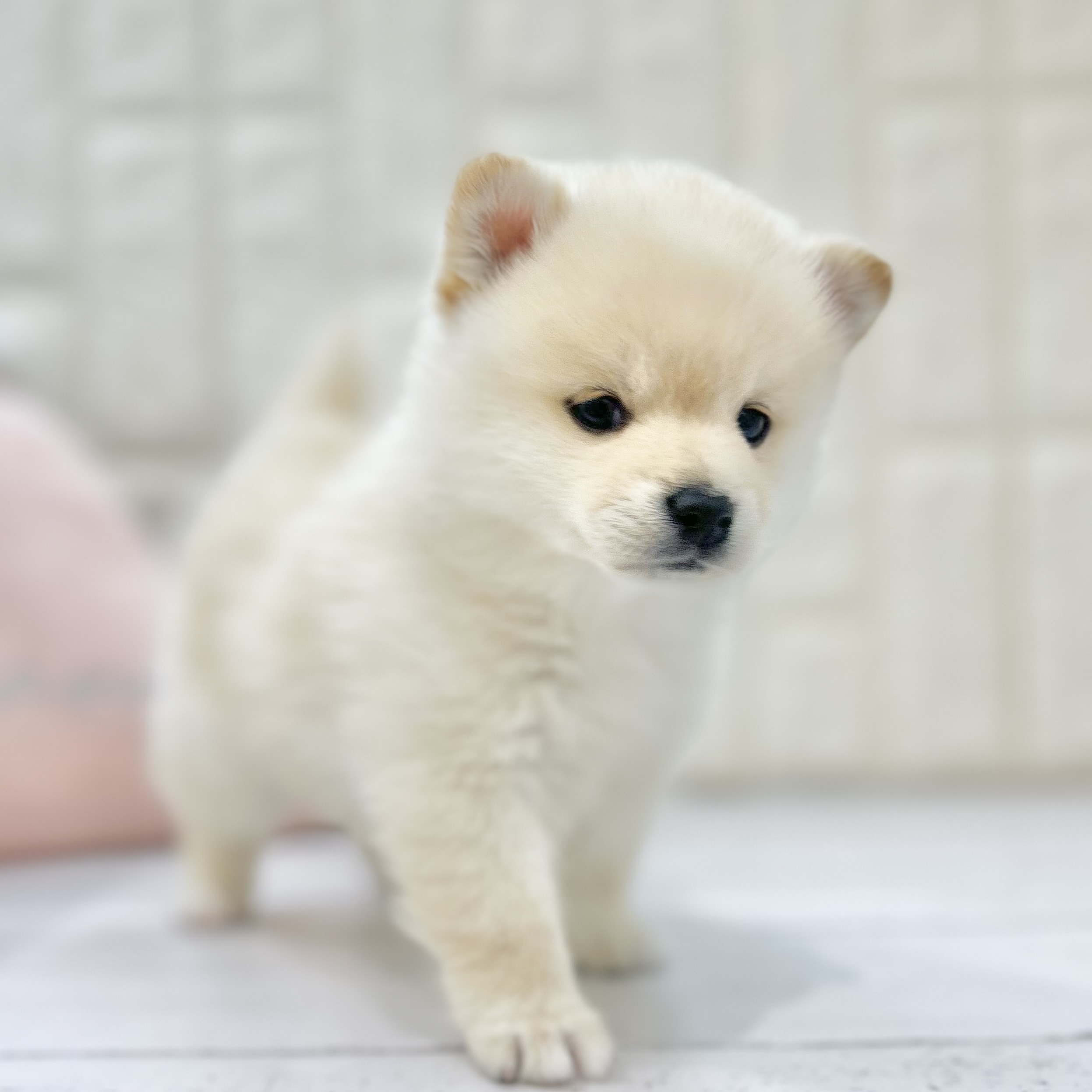 生体画像５