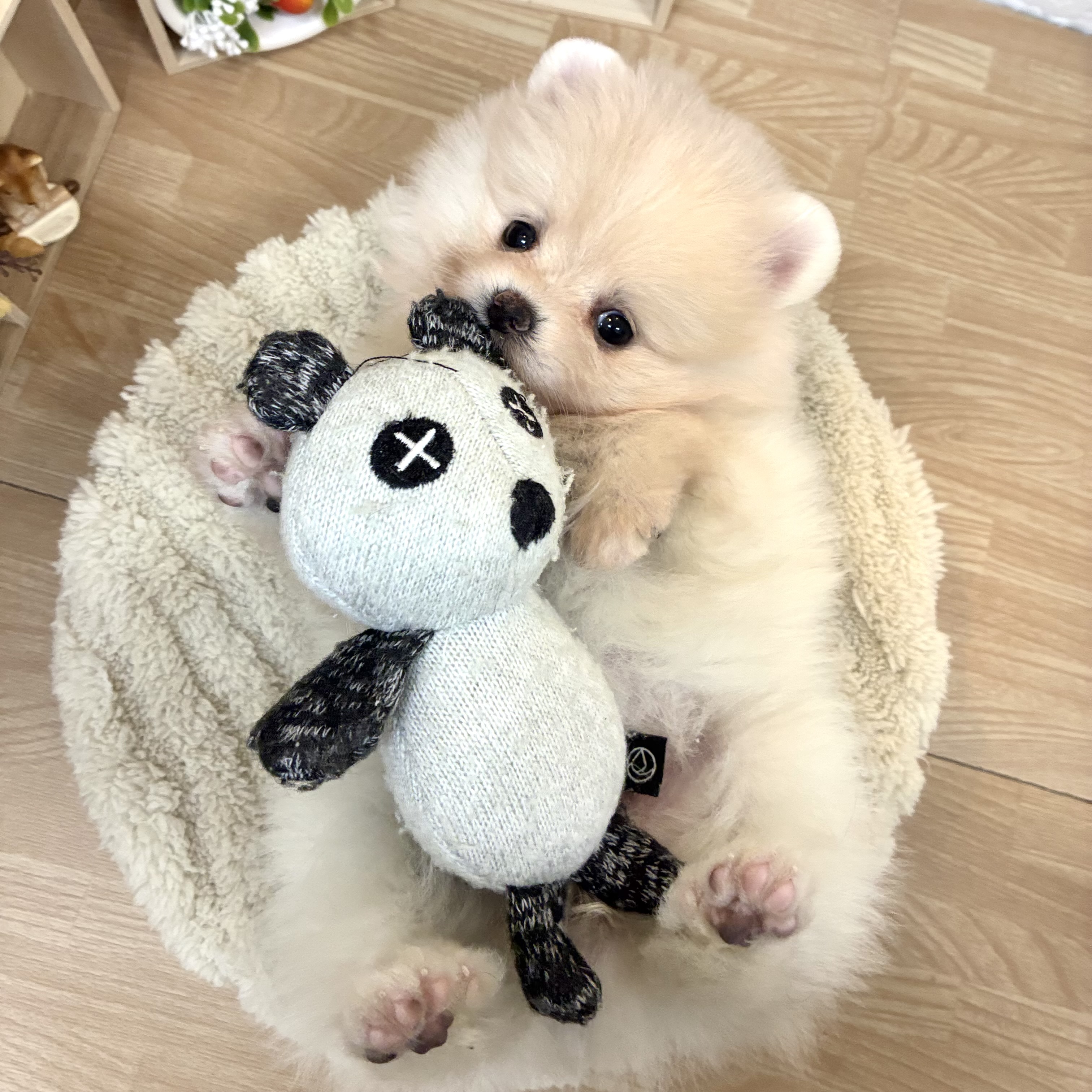 生体画像５