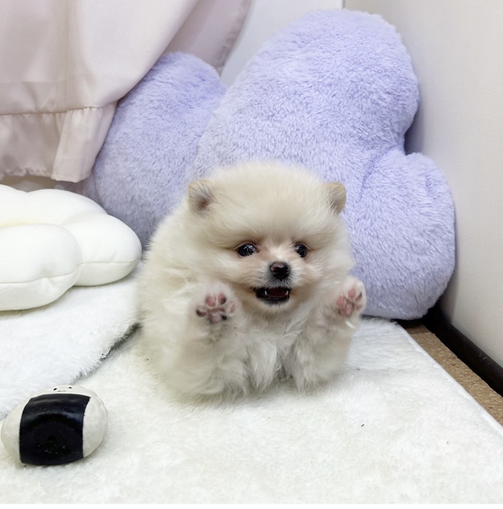 生体画像５