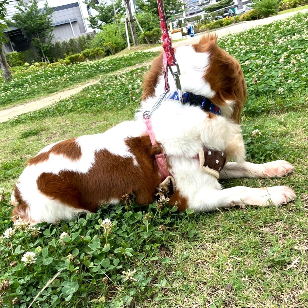 生体画像５