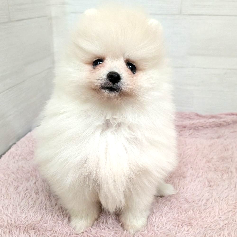 生体画像5