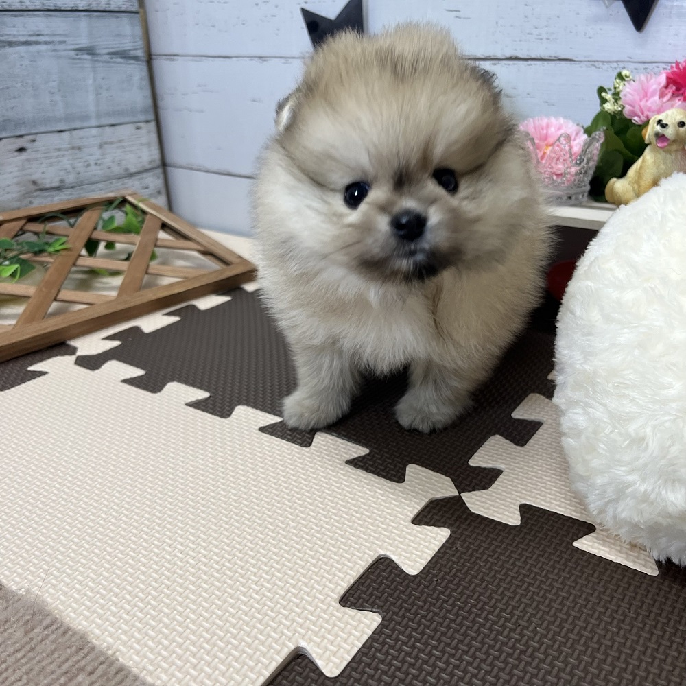 生体画像６