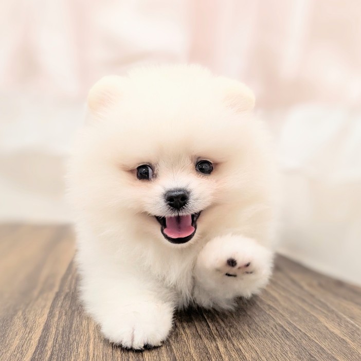 生体画像6