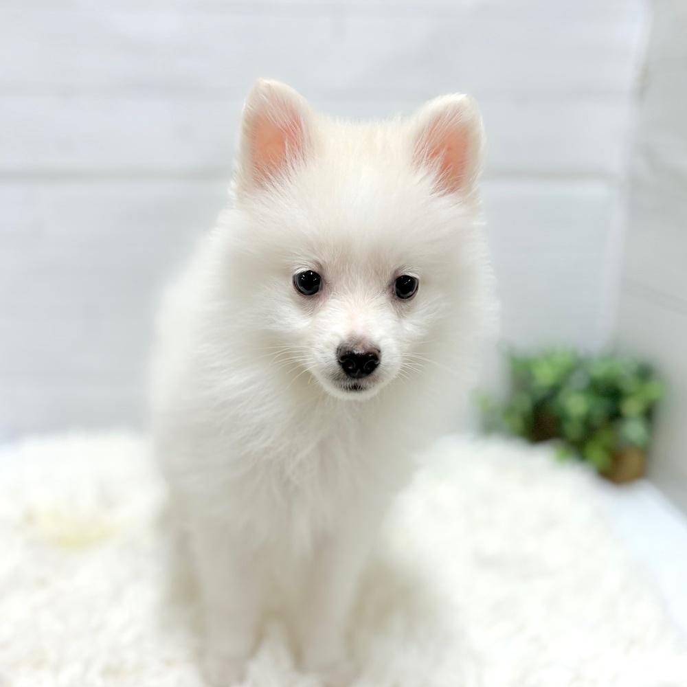 生体画像６
