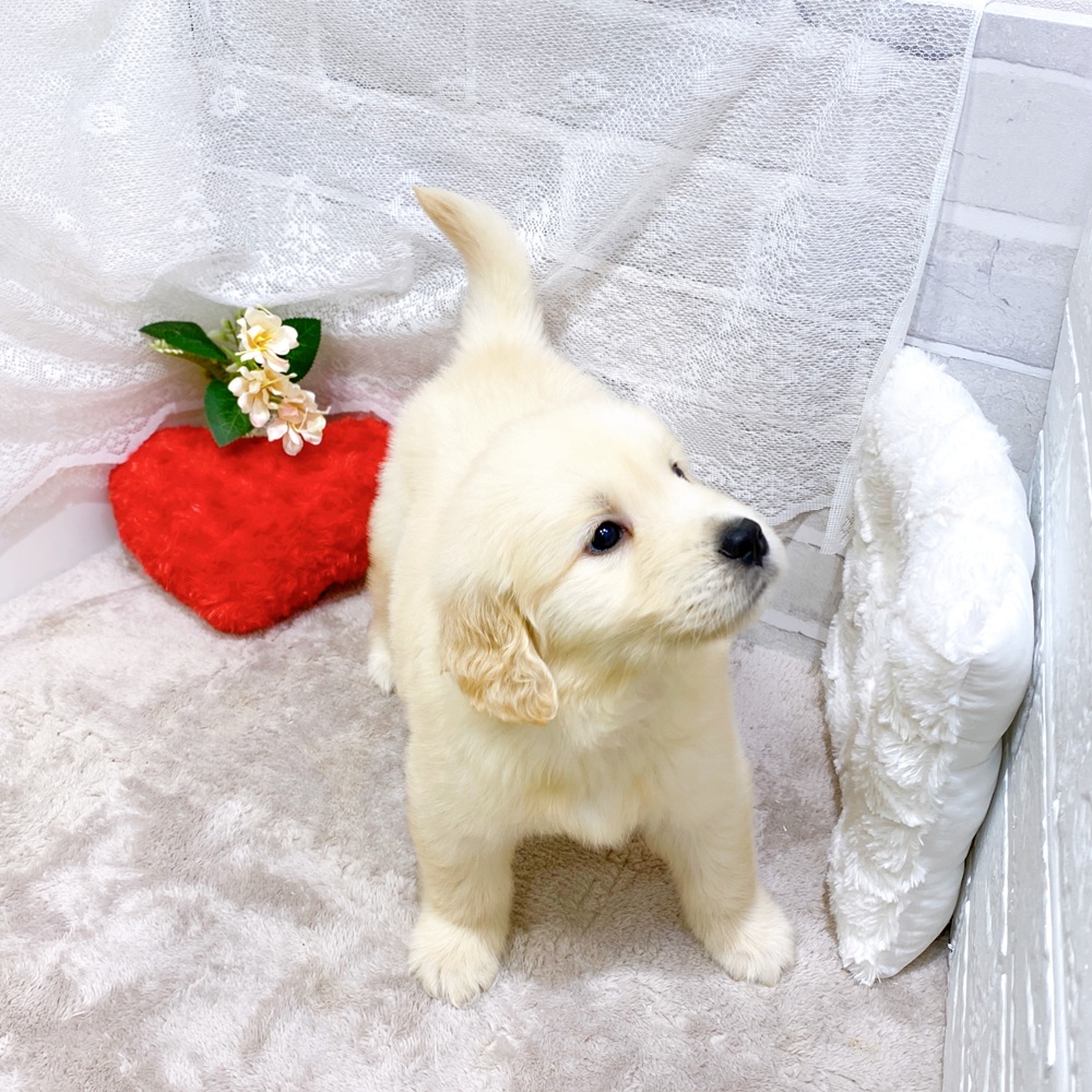 生体画像６