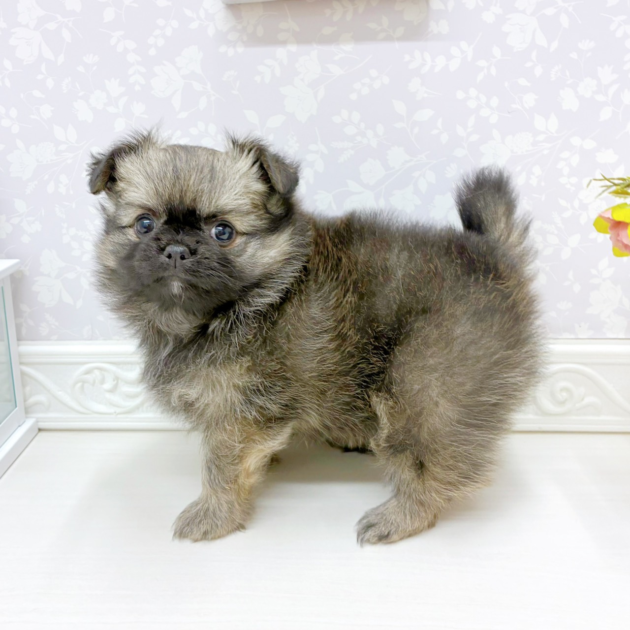 生体画像６