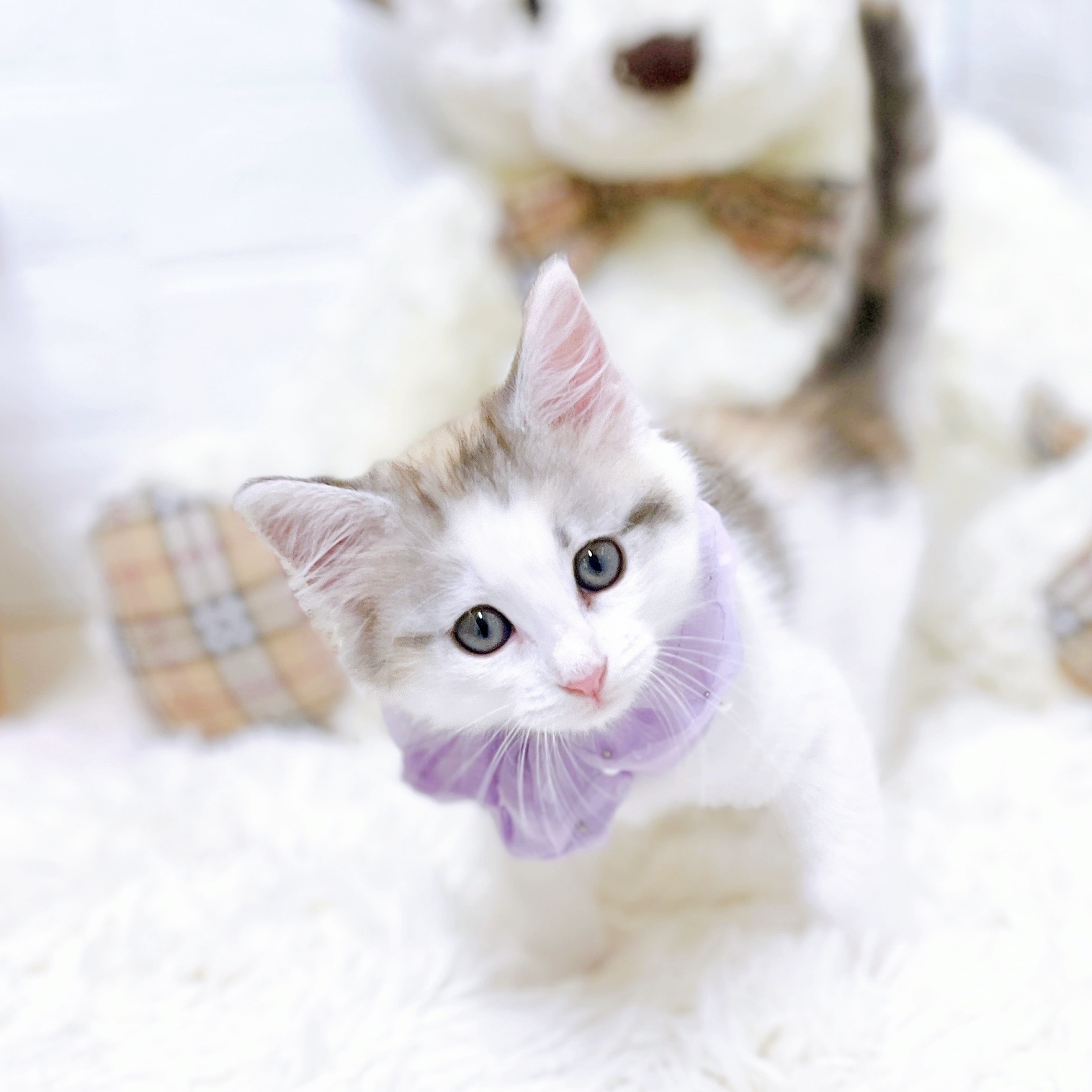 生体画像６